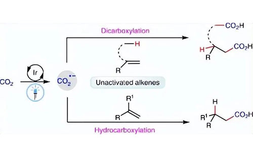 打破未活化烯烃局限性-CO₂光催化-Nature Catalysis